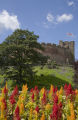 Tamworth Castle, flag and flowers